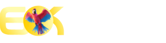 365 online - Oijogos
