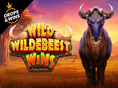 Win jogo do foguete